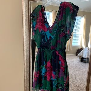 Express Floral Dress